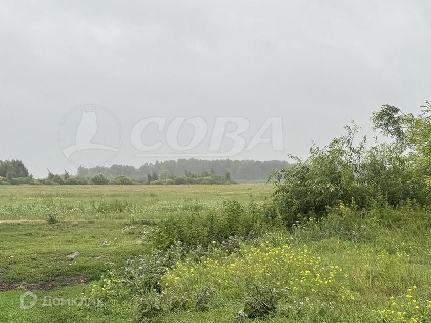 земля р-н Тюменский д Есаулова Коттеджный посёлок Долина Есаулова фото 3