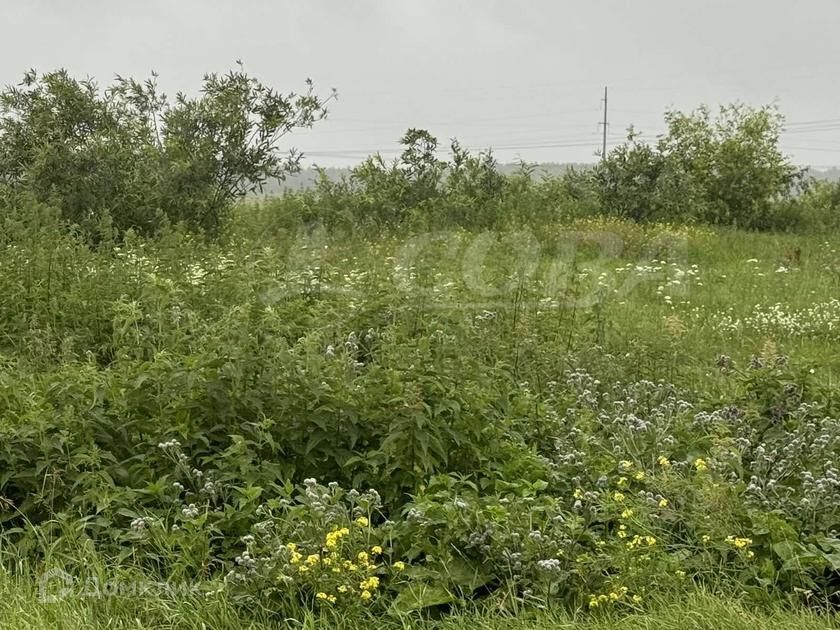 земля р-н Тюменский д Есаулова Коттеджный посёлок Долина Есаулова фото 4