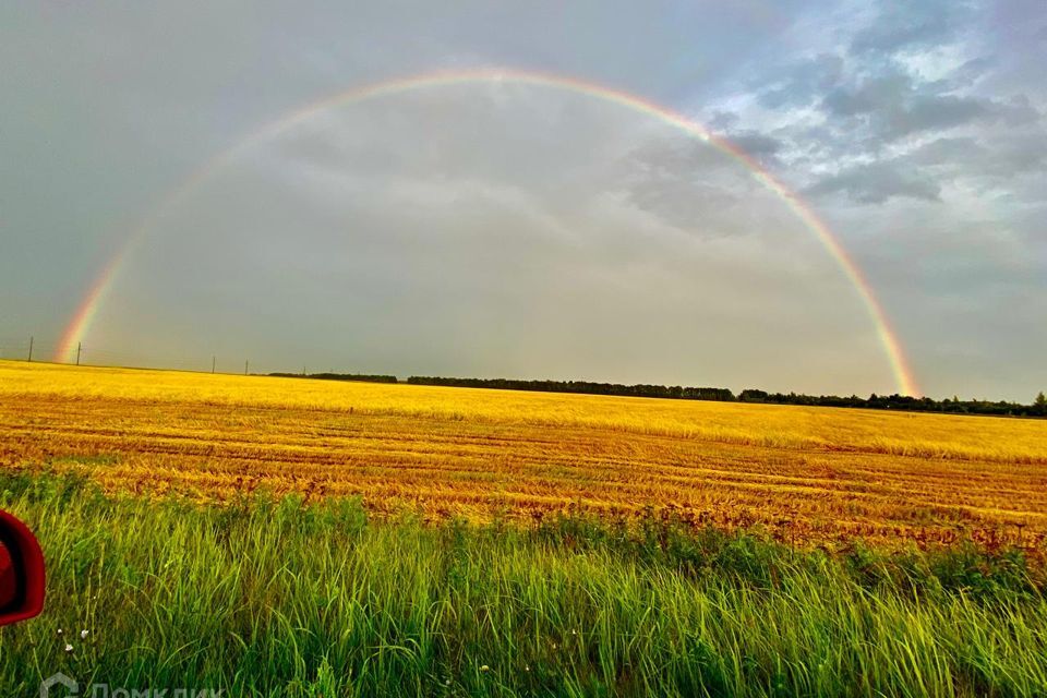 земля р-н Рыбновский с Ходынино ул Центральная фото 1