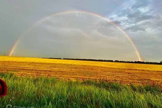 ул Центральная фото