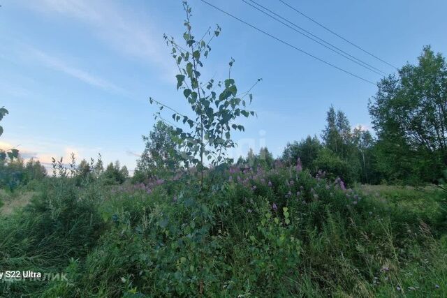 село Мурзинка фото