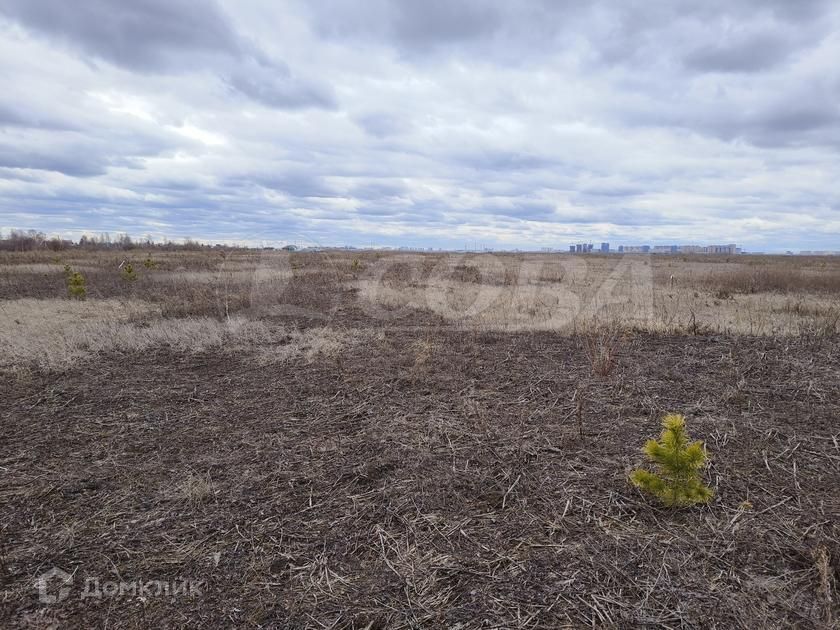 земля г Тюмень снт Агросад-Тюмень городской округ Тюмень фото 3