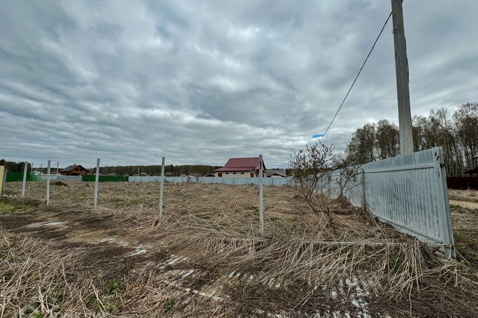 земля г Краснокамск д Клепики ул Льва Давыдычева Краснокамский городской округ фото 1