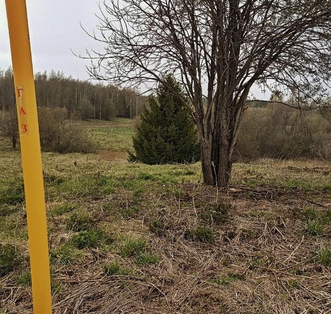 земля г Краснокамск д Большая ул Садовая Краснокамский городской округ фото 1