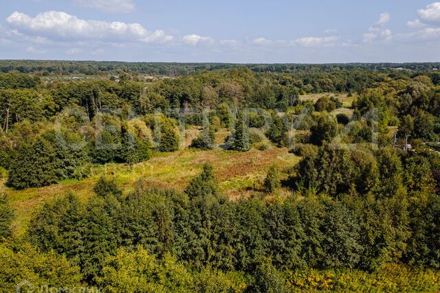 Ладушкинский городской округ фото