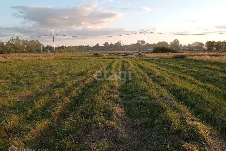 земля р-н Данковский с Барятино ул Центральная фото 3