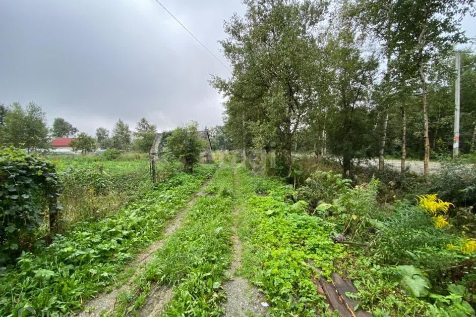 земля г Южно-Сахалинск городской округ Южно-Сахалинск, СНТ Ласточка фото 3