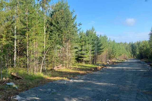 Екатеринбург городской округ, СНТ Лесные тропы фото