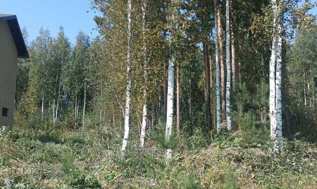 загородный комплекс Лайф фото