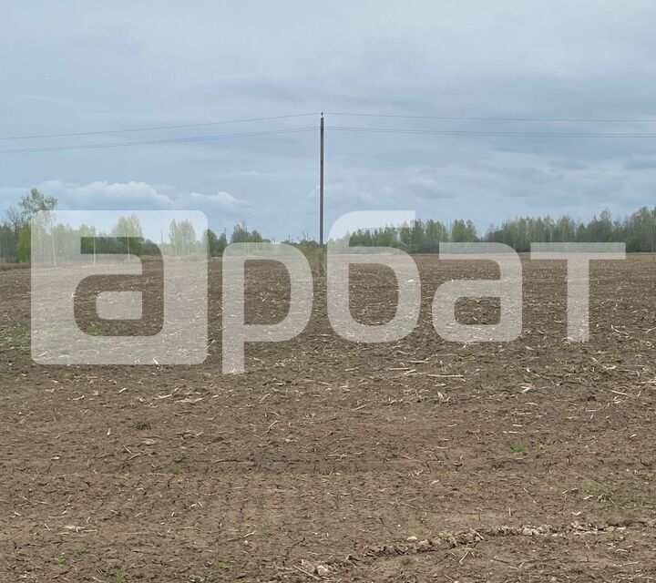 земля р-н Костромской село Сущёво фото 2