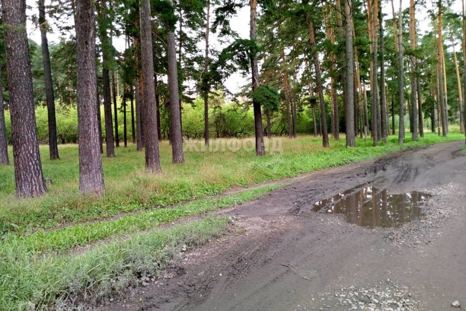 дом г Новосибирск Грушевская 1-я, городской округ Новосибирск фото 2