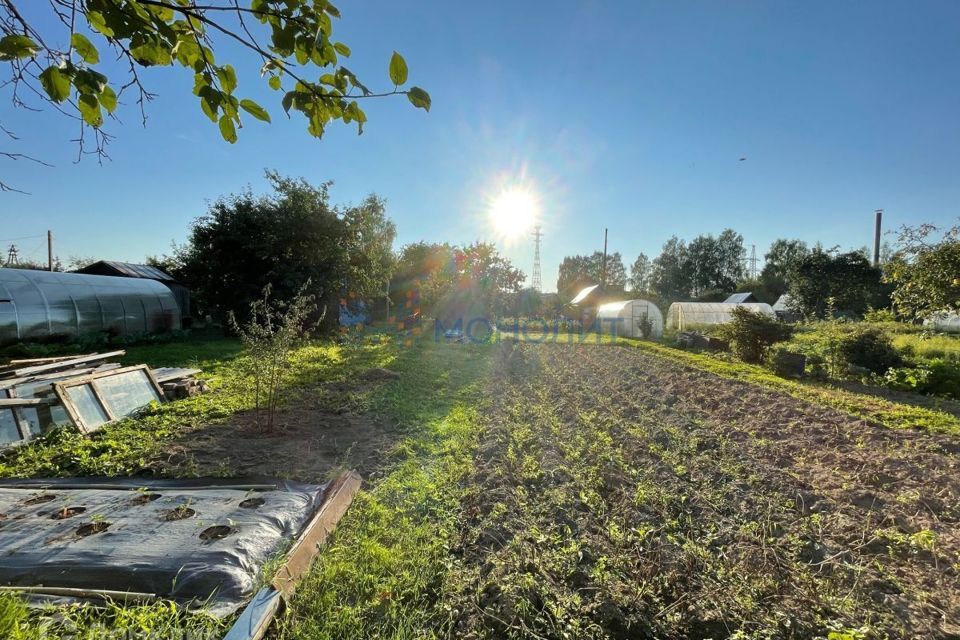 земля р-н Городецкий г Городец садоводческое товарищество Виктория фото 4