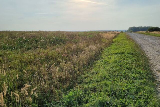 земля село Адуево фото