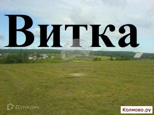 земля р-н Новгородский деревня Витка фото 1