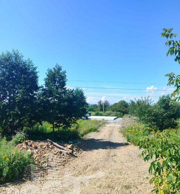 земля г Артем Артёмовский городской округ, СНТ Ольха фото 1