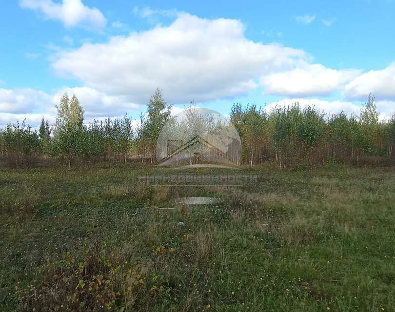 земля р-н Новгородский деревня Медвежья Голова фото 2