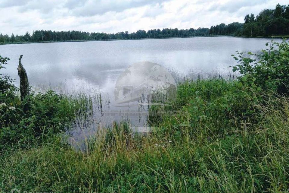 земля р-н Валдайский фото 4