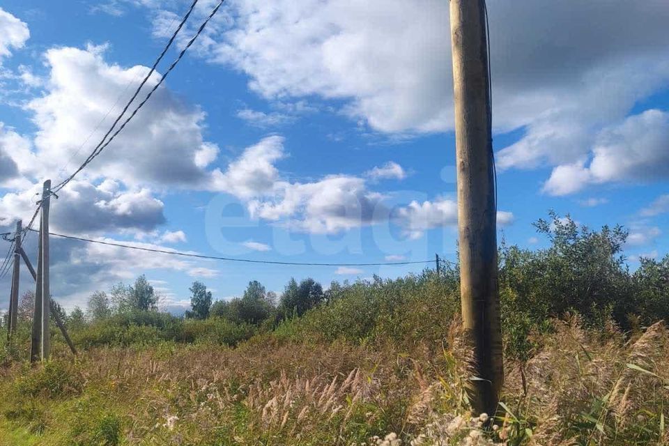 земля г Тюмень городской округ Тюмень, ДНТ Большое Царёво - 1 фото 1