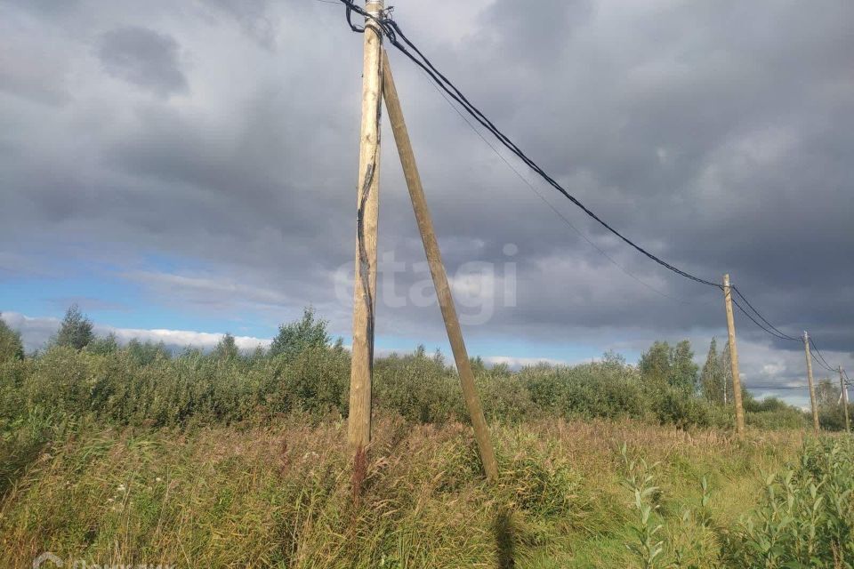 земля г Тюмень городской округ Тюмень, ДНТ Большое Царёво - 1 фото 2