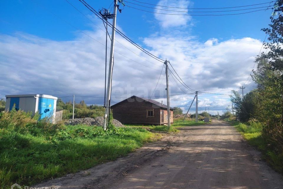 земля г Тюмень городской округ Тюмень, ДНТ Большое Царёво - 1 фото 3