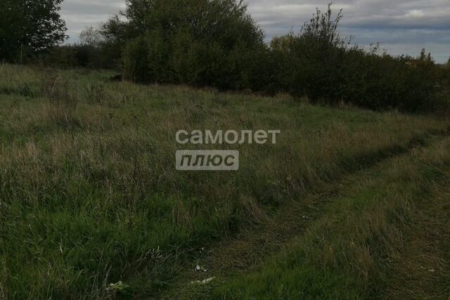 муниципальное образование Анапа, садоводческое некоммерческое товарищество Лазурное фото