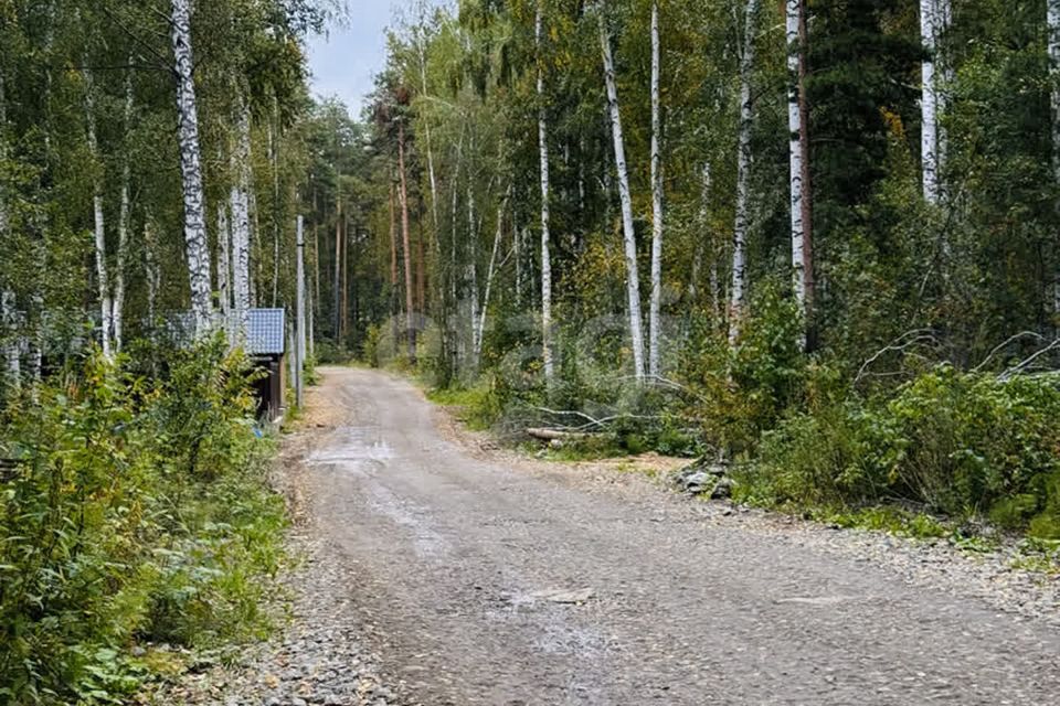 земля г Екатеринбург Екатеринбург городской округ, Чкаловский фото 3