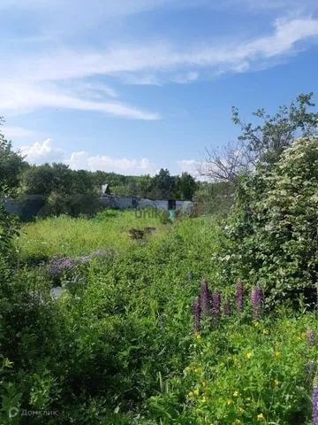 СНТ строитель, городской округ Стерлитамак фото