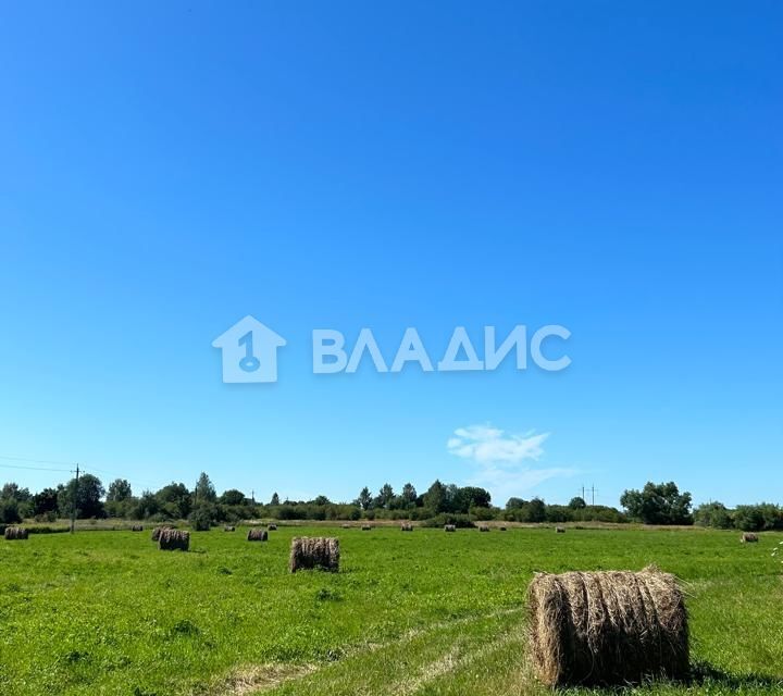 дом р-н Полесский п Ивановка ул Зеленая 22 фото 2