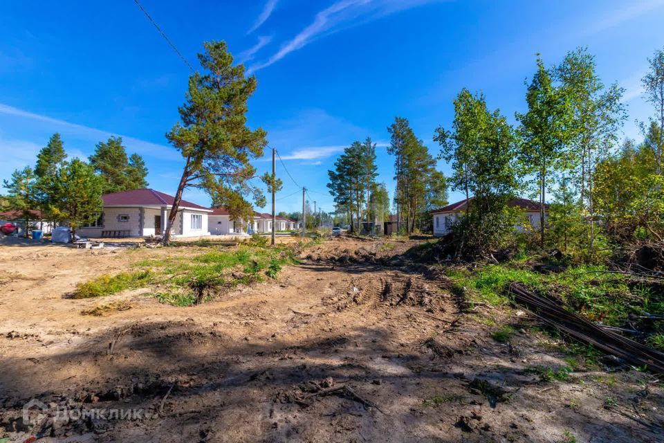 земля р-н Нижнетавдинский село Тюнево фото 1