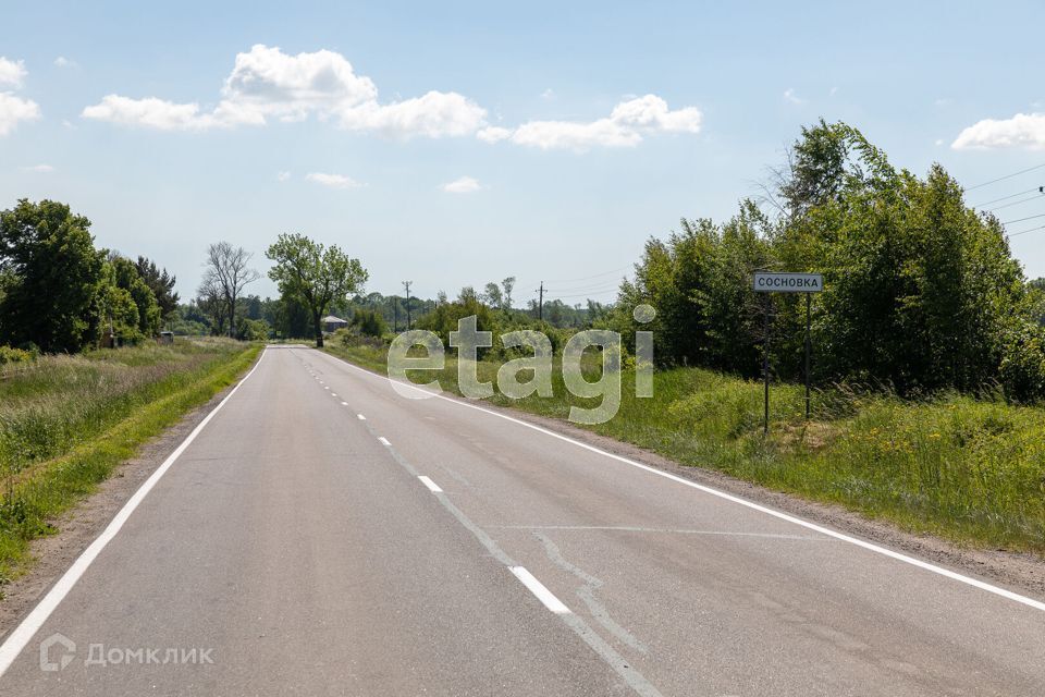 земля р-н Гурьевский Сосновка фото 1