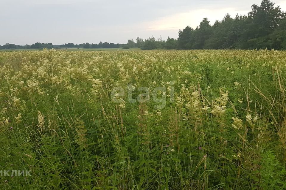 земля р-н Багратионовский г Багратионовск фото 1