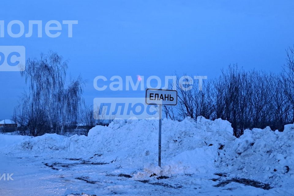 земля р-н Тюменский д Елань ул Центральная фото 2