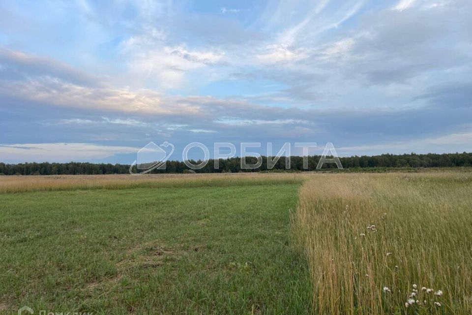 земля р-н Тюменский ДПК Новокаменский, Менделеева улица фото 2