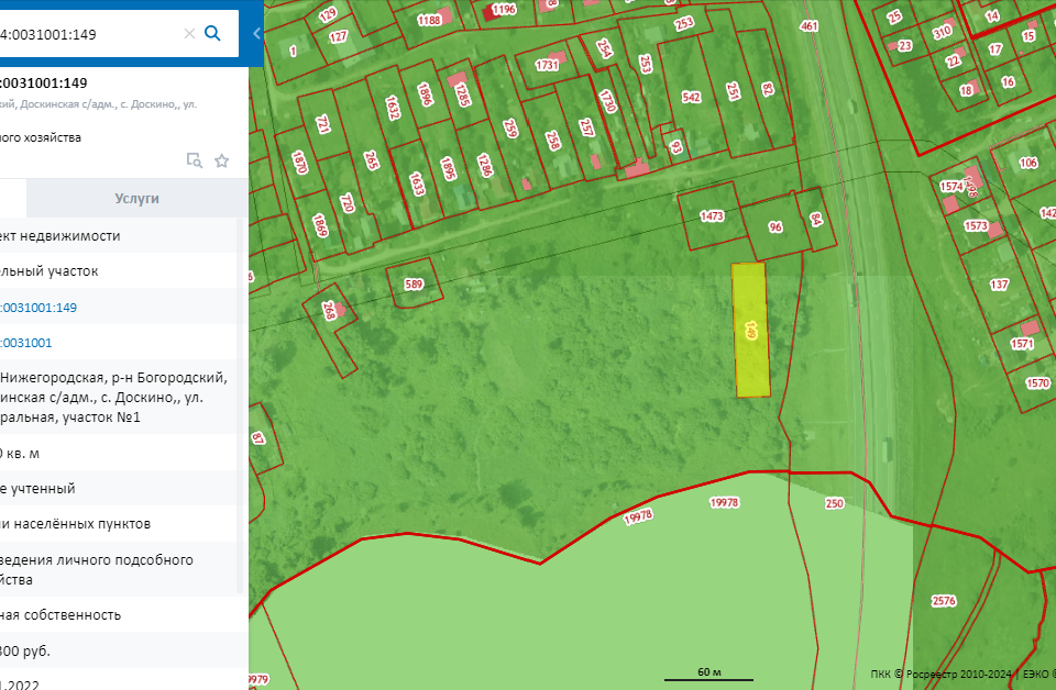 земля р-н Богородский село Доскино фото 1