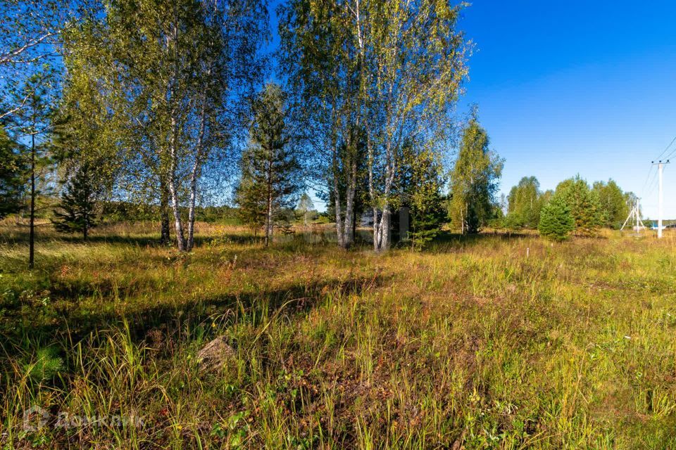 земля г Тюмень городской округ Тюмень, СНТ Облепиховое фото 3