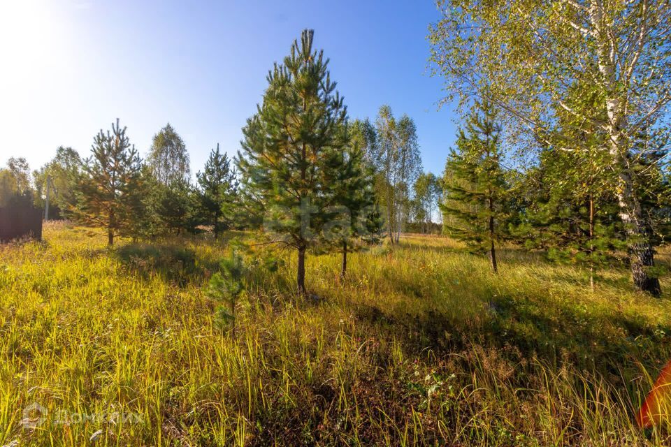 земля г Тюмень городской округ Тюмень, СНТ Облепиховое фото 4