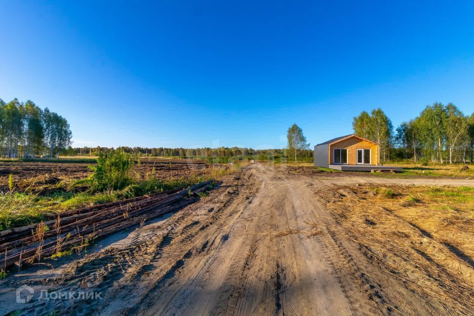 земля г Тюмень городской округ Тюмень, СНТ Облепиховое фото 4