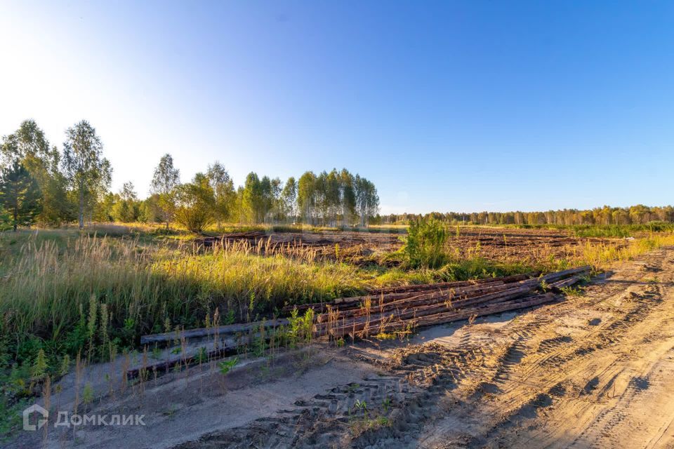 земля г Тюмень городской округ Тюмень, СНТ Облепиховое фото 3