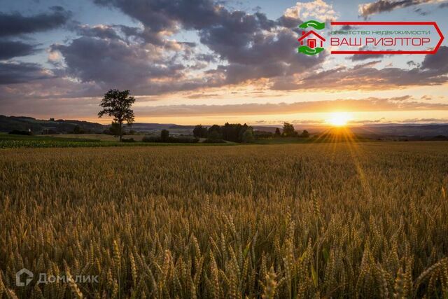 земля железнодорожная станция Паницкая фото