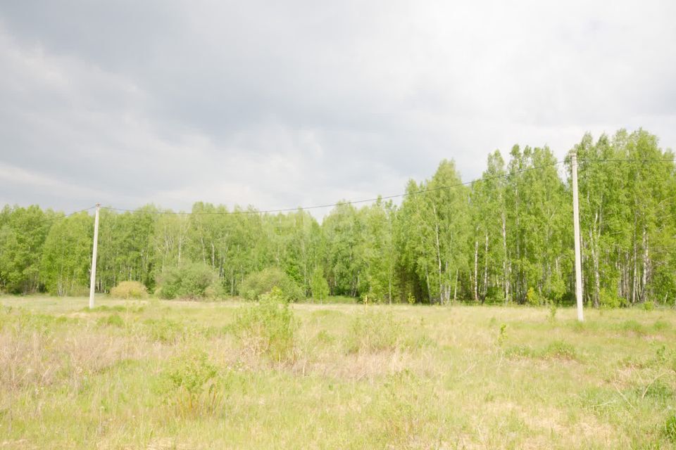 земля г Заводоуковск ул Гилевская роща Заводоуковский городской округ фото 1