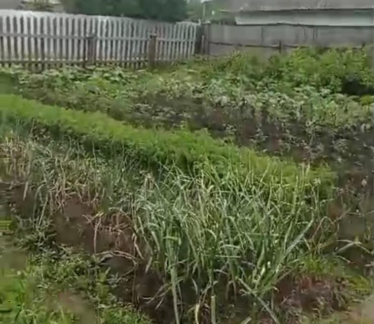 земля г Тобольск СО Биолог, городской округ Тобольск фото 1