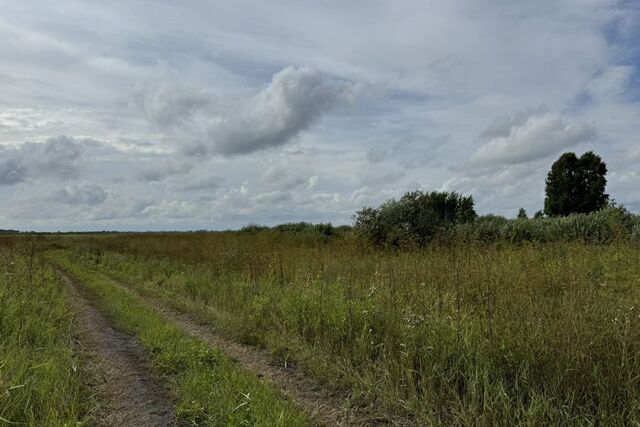 Тюмень городской округ, Ленинский фото