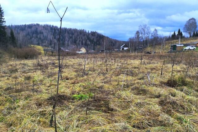 Кемеровская область — Кузбасс, Чугунаш фото