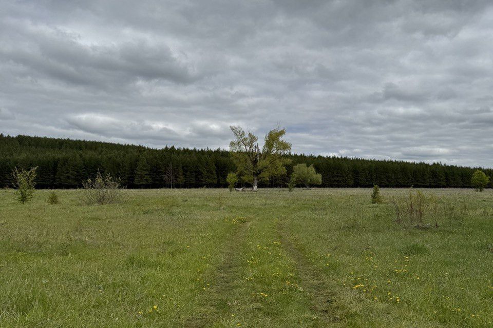 земля р-н Богородский деревня Победиха фото 1