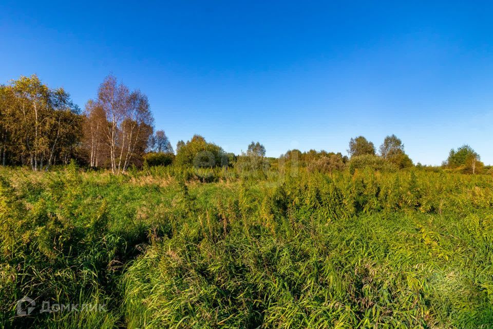 земля г Тюмень городской округ Тюмень, СНТ Облепиховое фото 1