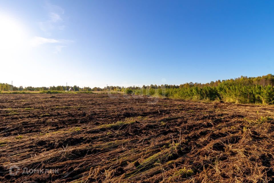 земля г Тюмень городской округ Тюмень, СНТ Облепиховое фото 1