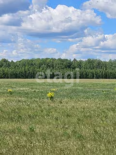 земля ул Слободо-Туринская фото