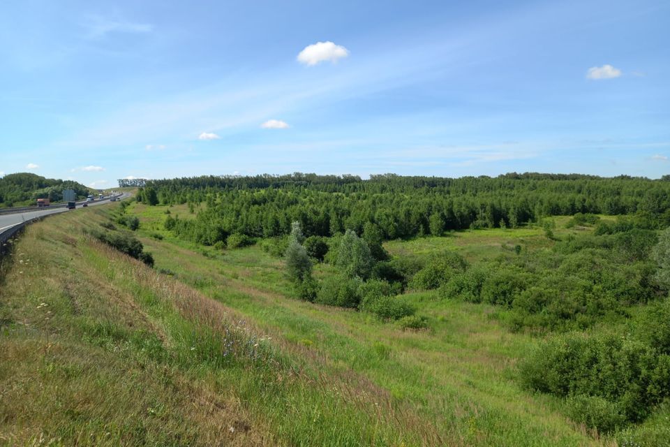 земля р-н Богородский село Доскино фото 4