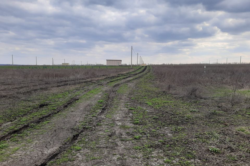 земля р-н Семилукский село Гудовка фото 2