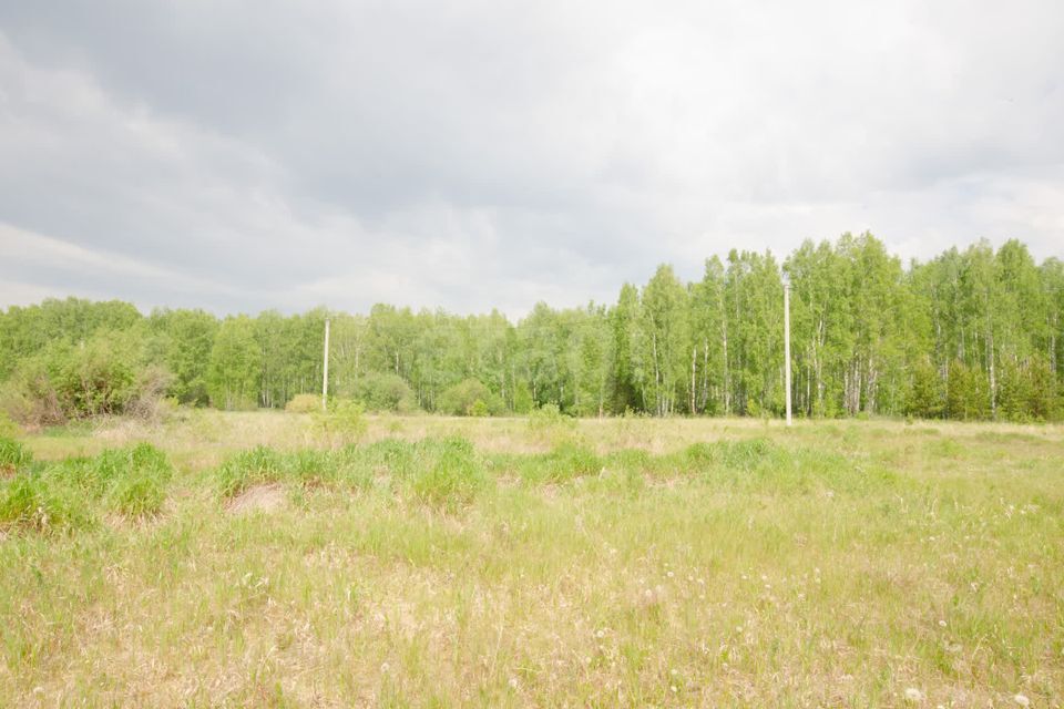 земля г Заводоуковск ул Гилевская роща Заводоуковский городской округ фото 3